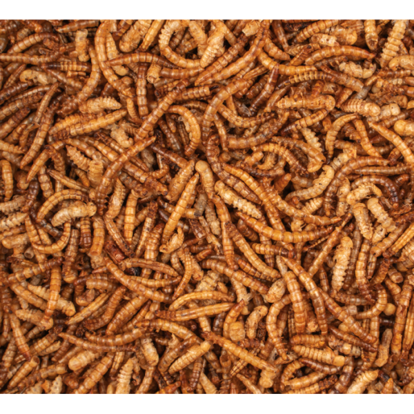 Deli Nature ChiX Meelwormen 500gr - Afbeelding 2