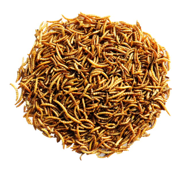 Menu Nature Mealworms 300 g - Afbeelding 2